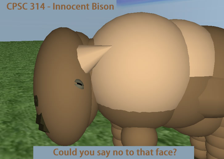 Bison Animation Project